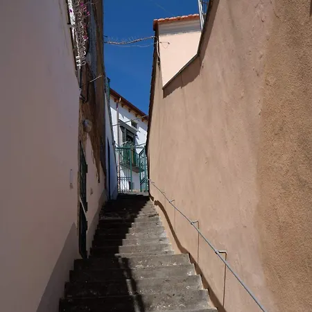Le Di Rosella *