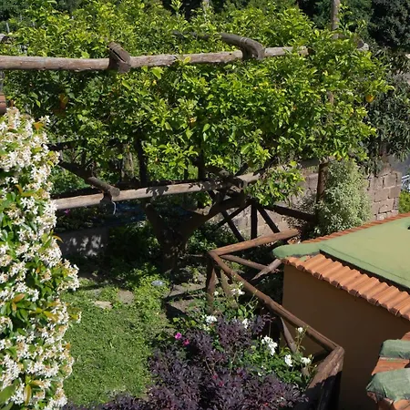 Le Di Rosella * Vico Equense